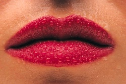 Lips